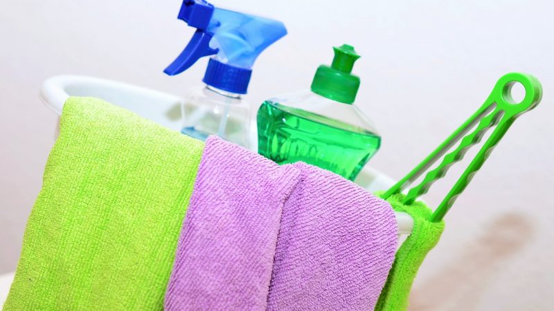 How the perfect cleaning day goes
